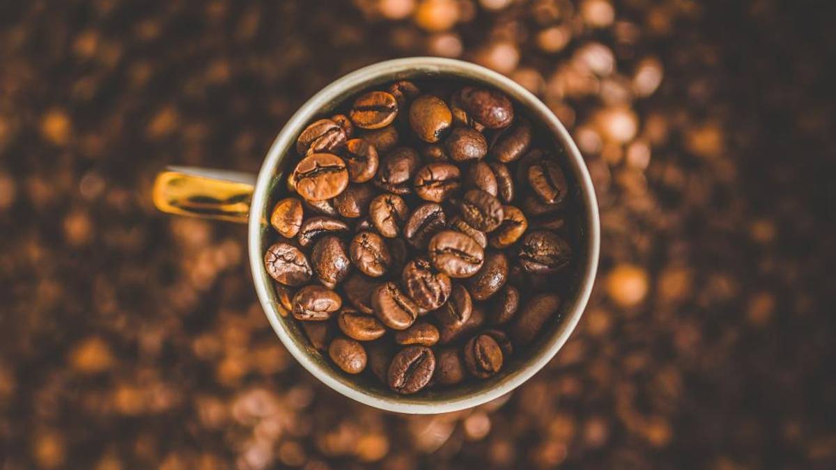 Rahasia Rasa Kopi di Jantung Cilacap yang Tak Bisa Dilewatkan